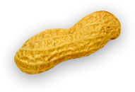 grounnut object 1