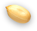 grounnut object 3